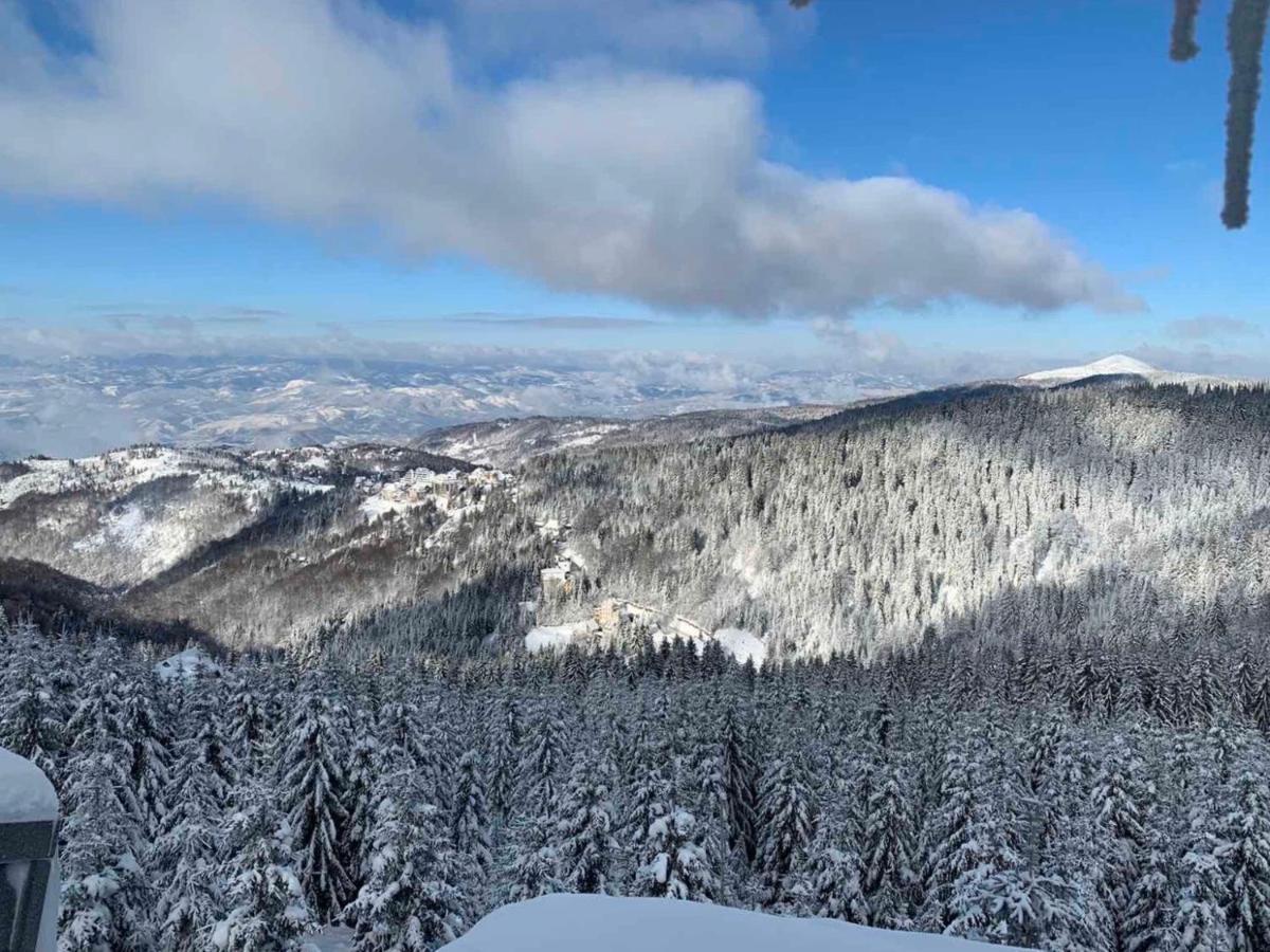 Vila Planinsko Blago Kopaonik Eksteriør billede