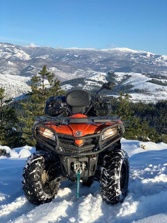 Vila Planinsko Blago Kopaonik Eksteriør billede