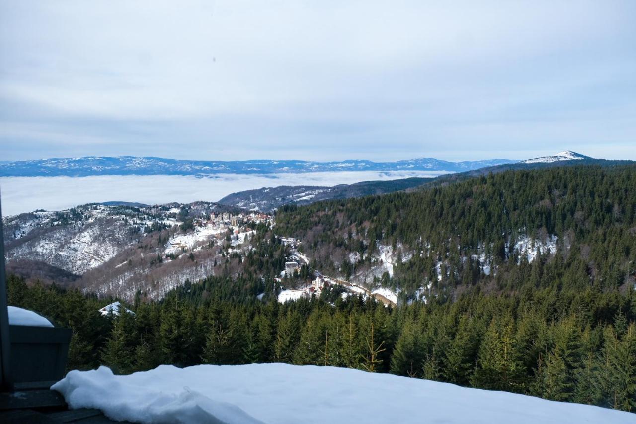 Vila Planinsko Blago Kopaonik Eksteriør billede