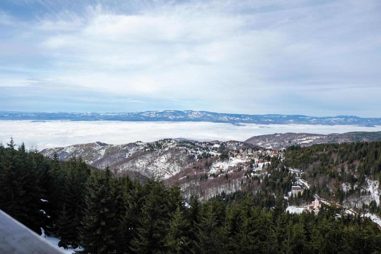 Vila Planinsko Blago Kopaonik Eksteriør billede
